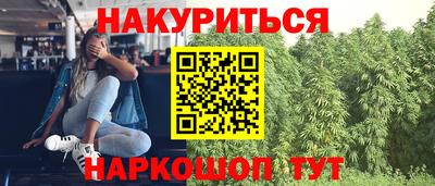 прущие крисы Кохма