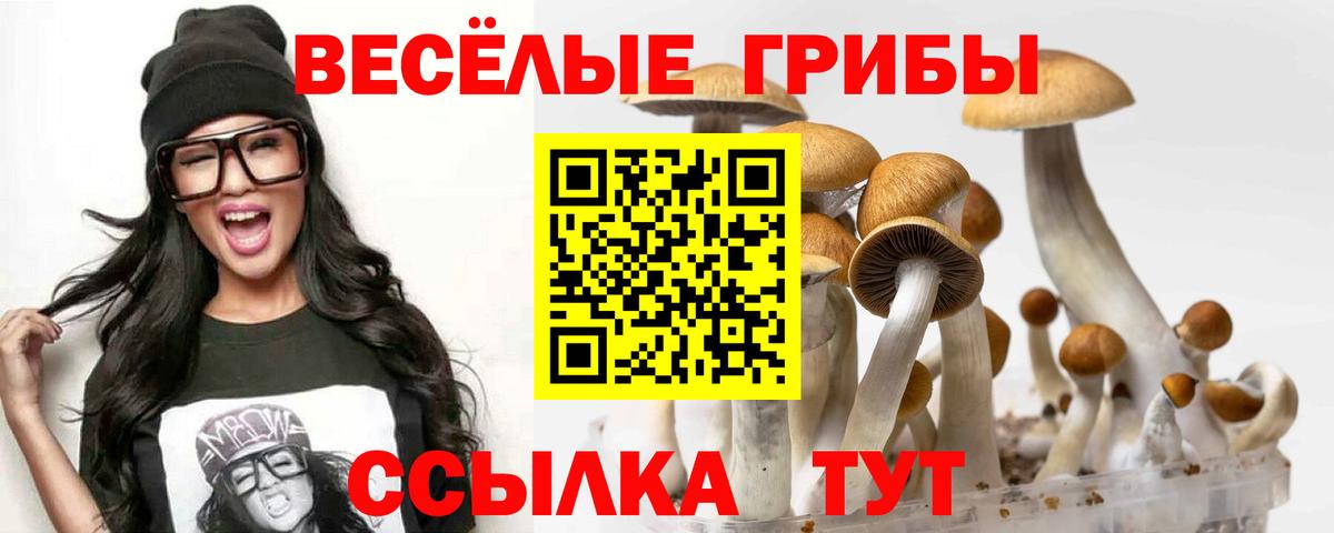 Галлюциногенные грибы мицелий Елабуга
